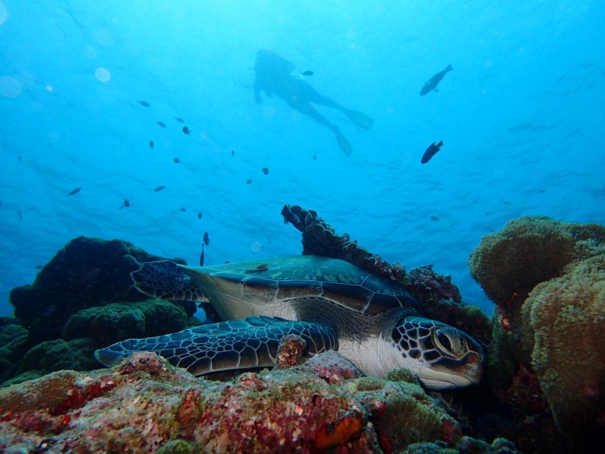 Manta Reserve Maalhos (Baa Atoll) Exterior foto